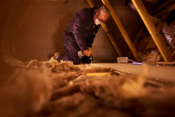 Insulation Air Sealing in Kaanapali, HI